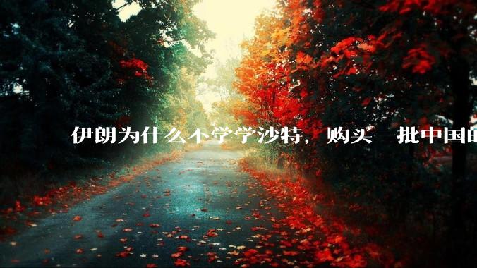 伊朗为什么不学学沙特，购买一批中国的东风导弹，威慑以色列？
