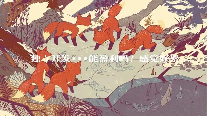 独立开发***能盈利吗？感觉好累...